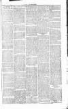 Chelsea News and General Advertiser Saturday 23 April 1870 Page 7