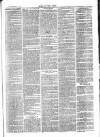 Chelsea News and General Advertiser Saturday 30 April 1870 Page 3