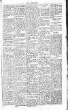 Chelsea News and General Advertiser Saturday 30 April 1870 Page 5