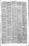 Chelsea News and General Advertiser Saturday 07 May 1870 Page 3