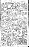 Chelsea News and General Advertiser Saturday 07 May 1870 Page 5
