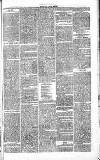 Chelsea News and General Advertiser Saturday 07 May 1870 Page 7