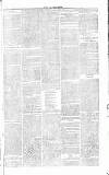Chelsea News and General Advertiser Saturday 07 May 1870 Page 8