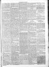 Chelsea News and General Advertiser Saturday 14 May 1870 Page 5