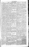 Chelsea News and General Advertiser Saturday 28 May 1870 Page 5