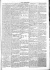 Chelsea News and General Advertiser Saturday 28 May 1870 Page 5