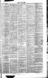 Chelsea News and General Advertiser Saturday 28 May 1870 Page 7