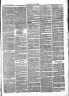 Chelsea News and General Advertiser Saturday 11 June 1870 Page 4