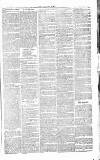 Chelsea News and General Advertiser Saturday 11 June 1870 Page 5