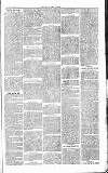 Chelsea News and General Advertiser Saturday 23 July 1870 Page 3