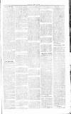 Chelsea News and General Advertiser Saturday 23 July 1870 Page 4