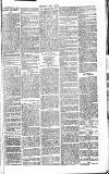 Chelsea News and General Advertiser Saturday 23 July 1870 Page 8