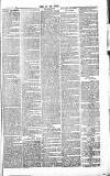 Chelsea News and General Advertiser Saturday 06 August 1870 Page 7