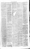 Chelsea News and General Advertiser Saturday 13 August 1870 Page 3