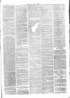 Chelsea News and General Advertiser Saturday 13 August 1870 Page 3