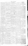 Chelsea News and General Advertiser Saturday 13 August 1870 Page 5