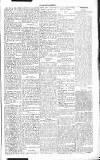 Chelsea News and General Advertiser Saturday 20 August 1870 Page 5