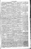 Chelsea News and General Advertiser Saturday 01 October 1870 Page 7