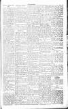 Chelsea News and General Advertiser Saturday 29 October 1870 Page 5