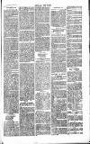 Chelsea News and General Advertiser Saturday 29 October 1870 Page 7