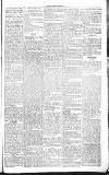 Chelsea News and General Advertiser Saturday 12 November 1870 Page 6