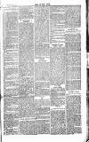 Chelsea News and General Advertiser Saturday 19 November 1870 Page 3