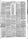 Chelsea News and General Advertiser Saturday 19 November 1870 Page 7