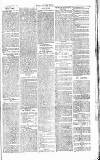 Chelsea News and General Advertiser Saturday 26 November 1870 Page 7