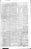 Chelsea News and General Advertiser Saturday 03 December 1870 Page 7