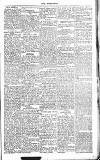 Chelsea News and General Advertiser Saturday 10 December 1870 Page 5