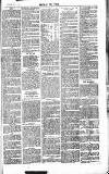 Chelsea News and General Advertiser Saturday 10 December 1870 Page 7