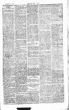 Chelsea News and General Advertiser Saturday 24 December 1870 Page 3