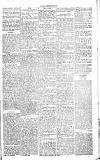 Chelsea News and General Advertiser Saturday 24 December 1870 Page 5