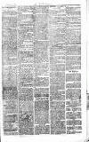 Chelsea News and General Advertiser Saturday 24 December 1870 Page 7