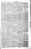 Chelsea News and General Advertiser Saturday 31 December 1870 Page 5