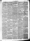 Chelsea News and General Advertiser Saturday 07 January 1871 Page 5