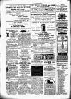 Chelsea News and General Advertiser Saturday 14 January 1871 Page 8