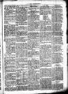 Chelsea News and General Advertiser Saturday 28 January 1871 Page 5