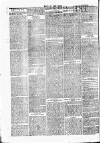 Chelsea News and General Advertiser Saturday 11 February 1871 Page 2