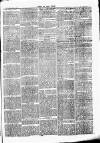 Chelsea News and General Advertiser Saturday 11 February 1871 Page 3
