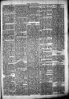 Chelsea News and General Advertiser Saturday 11 February 1871 Page 5