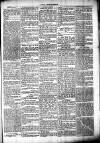 Chelsea News and General Advertiser Saturday 18 February 1871 Page 5
