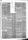 Chelsea News and General Advertiser Saturday 25 February 1871 Page 3