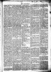 Chelsea News and General Advertiser Saturday 25 February 1871 Page 5
