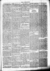 Chelsea News and General Advertiser Saturday 11 March 1871 Page 5