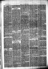 Chelsea News and General Advertiser Saturday 18 March 1871 Page 3