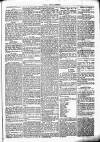 Chelsea News and General Advertiser Saturday 18 March 1871 Page 5