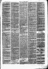 Chelsea News and General Advertiser Saturday 18 March 1871 Page 7