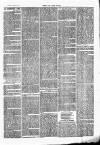 Chelsea News and General Advertiser Saturday 25 March 1871 Page 3