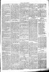 Chelsea News and General Advertiser Saturday 25 March 1871 Page 5